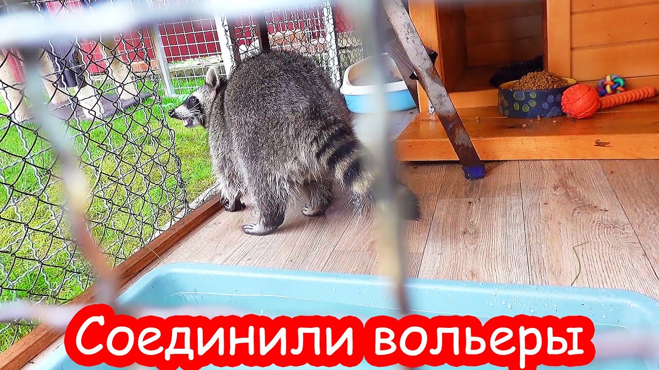 VLOG Собираем вещи на море. Открыла все посылки