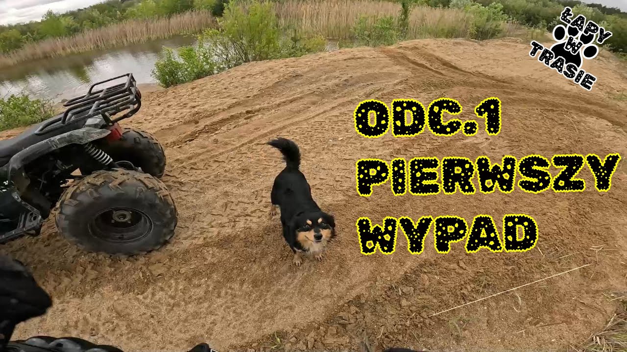 JAZDA QUADEM 🛞 BASHAN 250 🛞 (ODC.1)