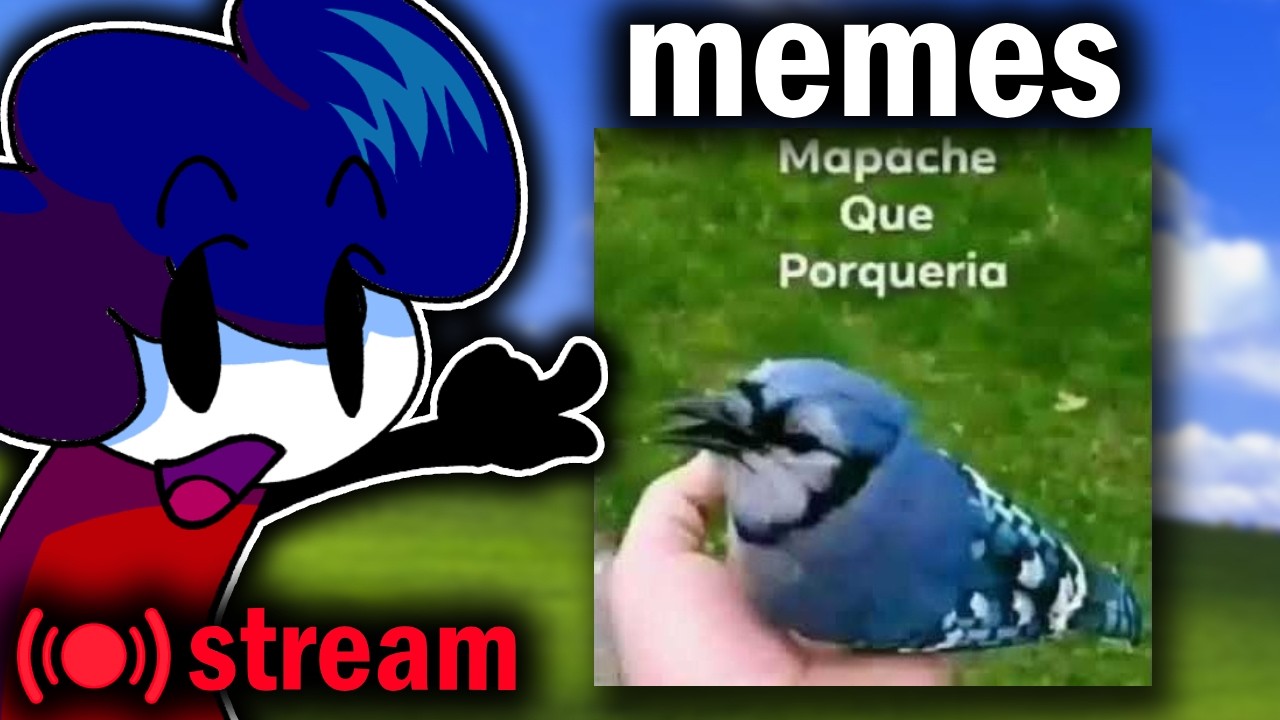 memes de discord | FerChocolatada Stream