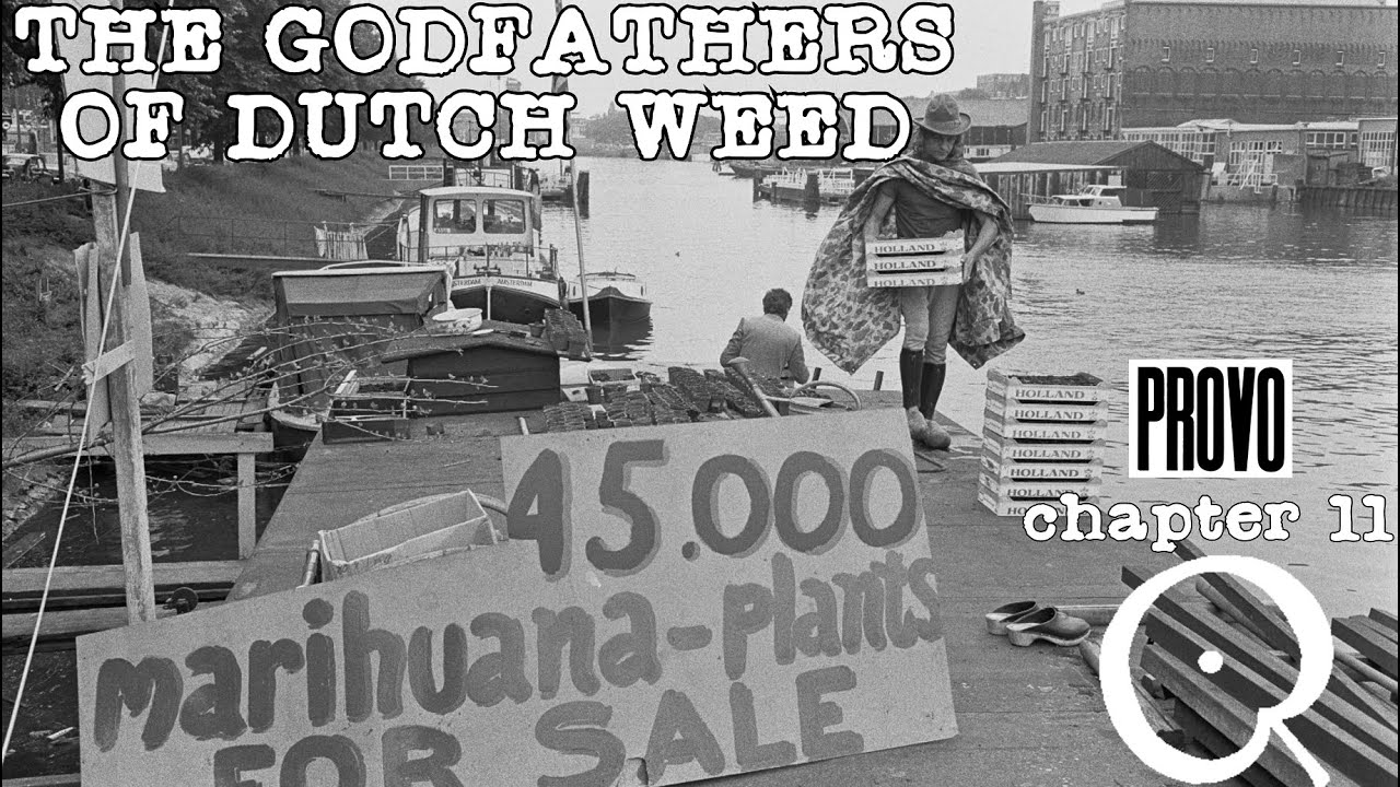Lowlands Weed Company and the Godfathers of the Dutch Weed Industry-Amsterdam's 60s Counter Culture