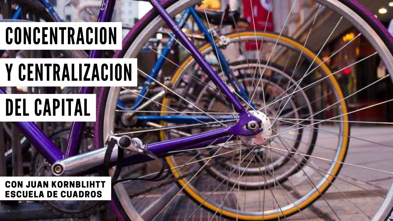 Programa 179 - Concentración y centralización del capital (Marx)