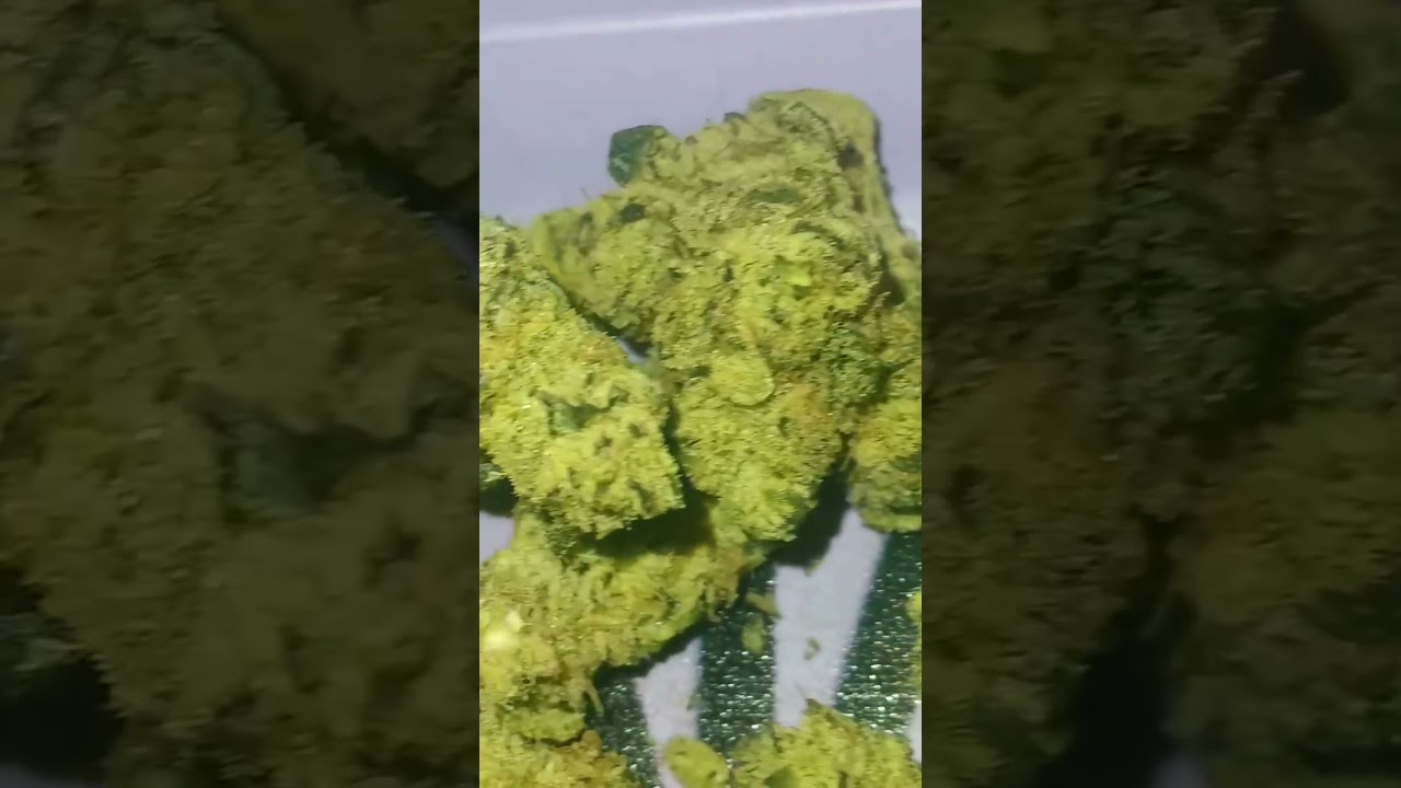 Trap Fuel Thca Flower from Fern Valley Farms #fernvalleyfarms