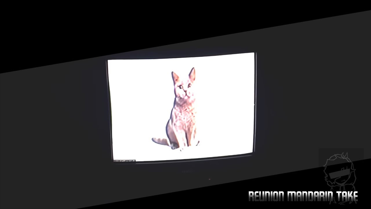 REUNION MANDARIN TAKE - FUNKDELA CATALOGUE (UNOFFICIAL)