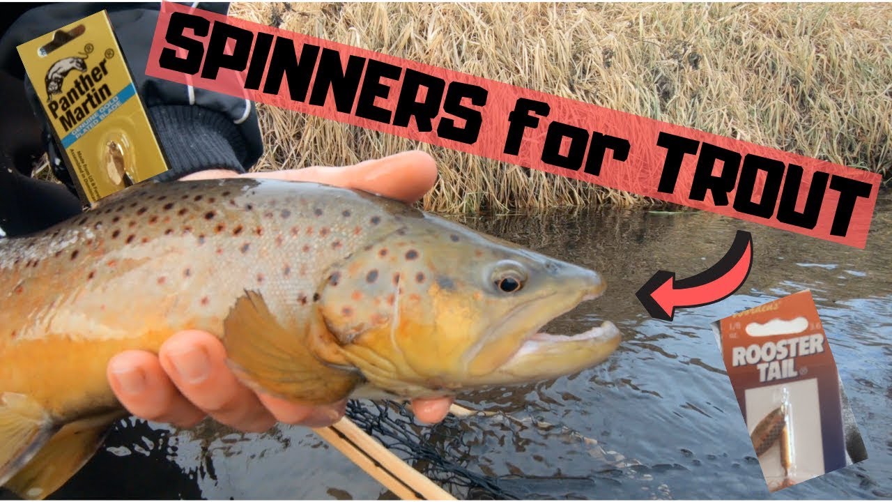 Which Spinner is BEST for BIG TROUT?! | Rooster-Tail vs. Panther Martin