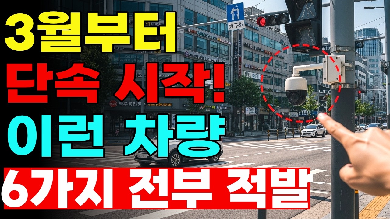 결국 3월부터 전부 단속! 금지되거나 바뀌는 차량 관련 6가지 총정리