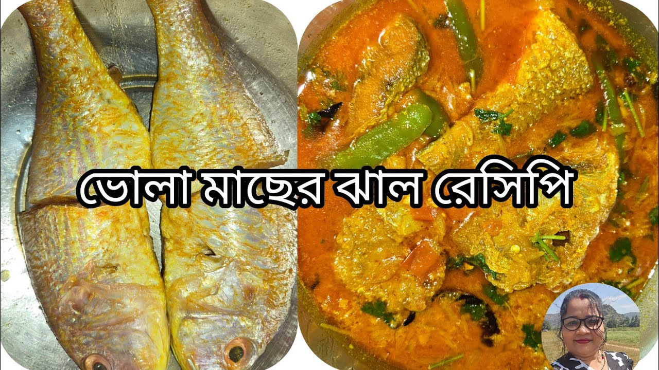 ভোলা মাছের ঝাল রেসিপি || VOLA MACHER JHAL || FISH CURRY RECIPIE IN BENGALI STYLE ||
