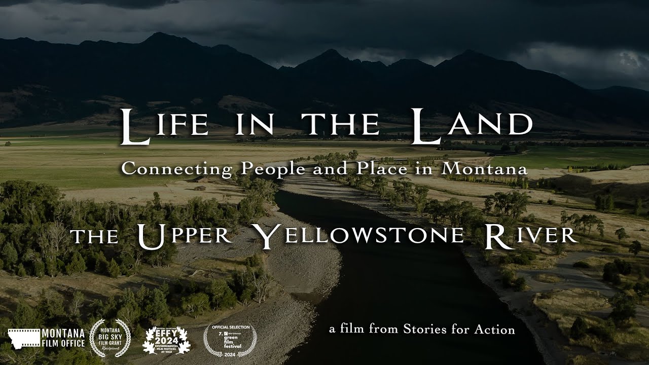 Life in the Land: The Upper Yellowstone River - Montana, full film