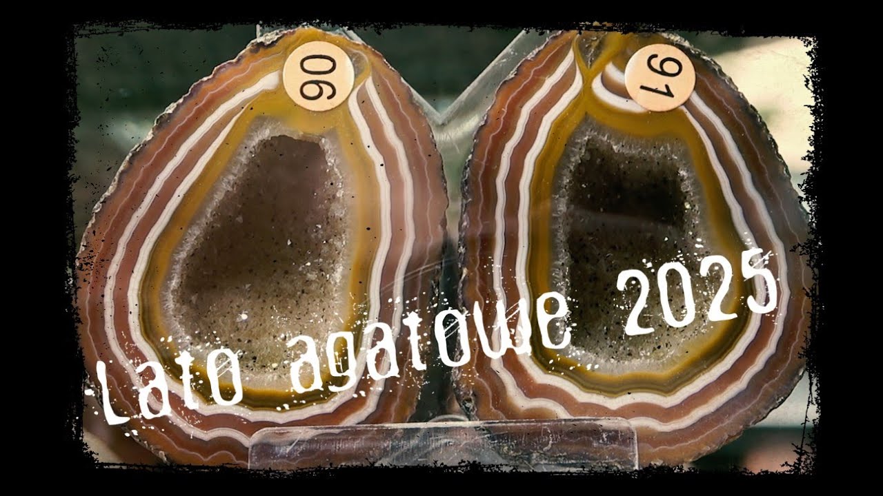 26 Lwóweckie Lato Agatowe 2025 wspomnienie - Stanowiska i wystawy