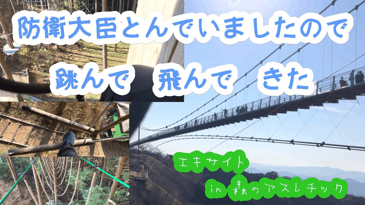 【エキサイトコース】跳んで飛んで遊んできた #自然 #体験 #森の中 #アスレチック #バンジー #三島スカイウォーク #静岡