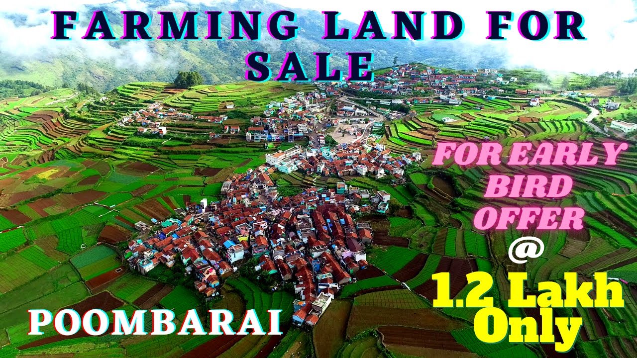 25Cent of Farmland Sale in Kodaikanal |Poombarai |Free Registration |Beautiful Spot for Resorts|E-52
