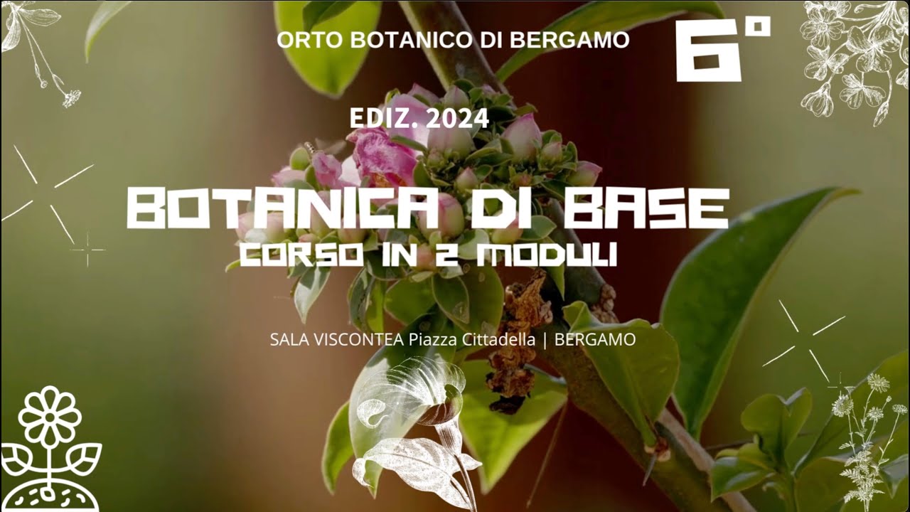 9 aprile  2024  ⎜6° incontro ⎜Angiosperme, l’invenzione di un fiore – Parte I – Marta Tognetti