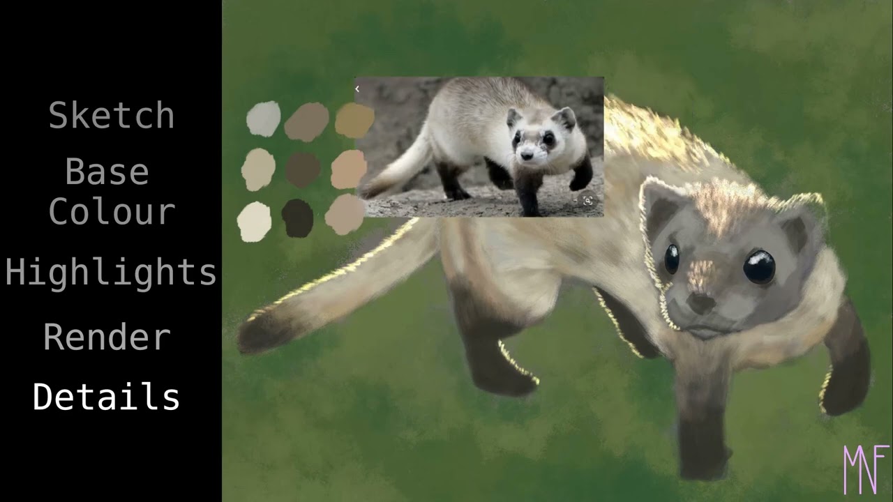 Weasel - Process Video