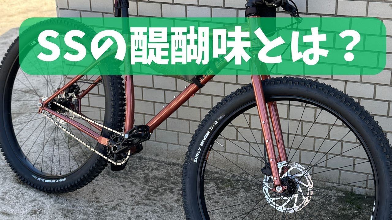 【走行レビュー】SURLY KRAMPUS シングルスピード仕様