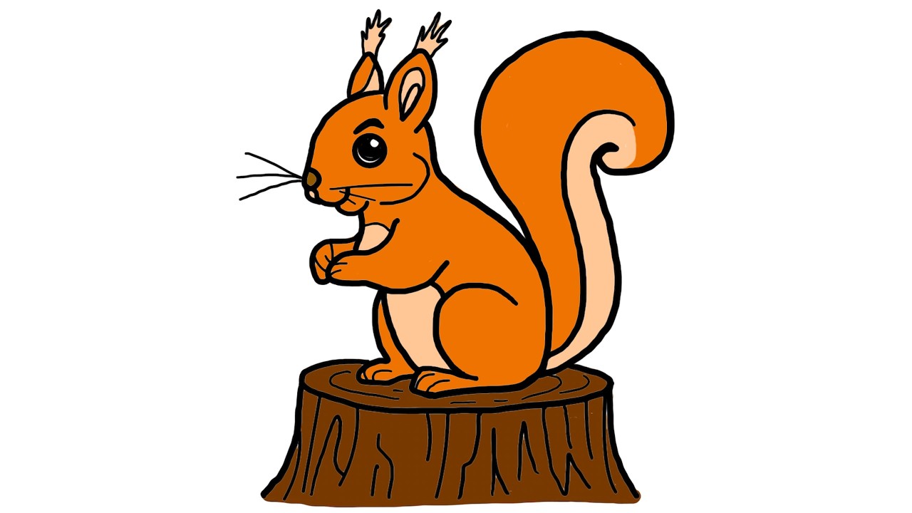 How to draw Cute Squirrel for kids.| Easy Drawing and coloring squirrel for kids and toddlers.