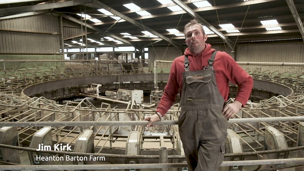 Heanton Barton: экскурсия по стратегической молочной ферме