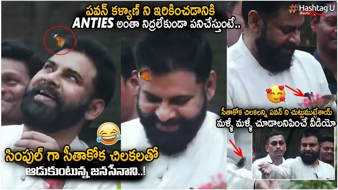 సీతాకోకచిలుక తో ఆడుకుంటున్న పవన్ కళ్యాణ్ | Pawan Kalyan Playing With Butterfly|Jansena| HashtagU