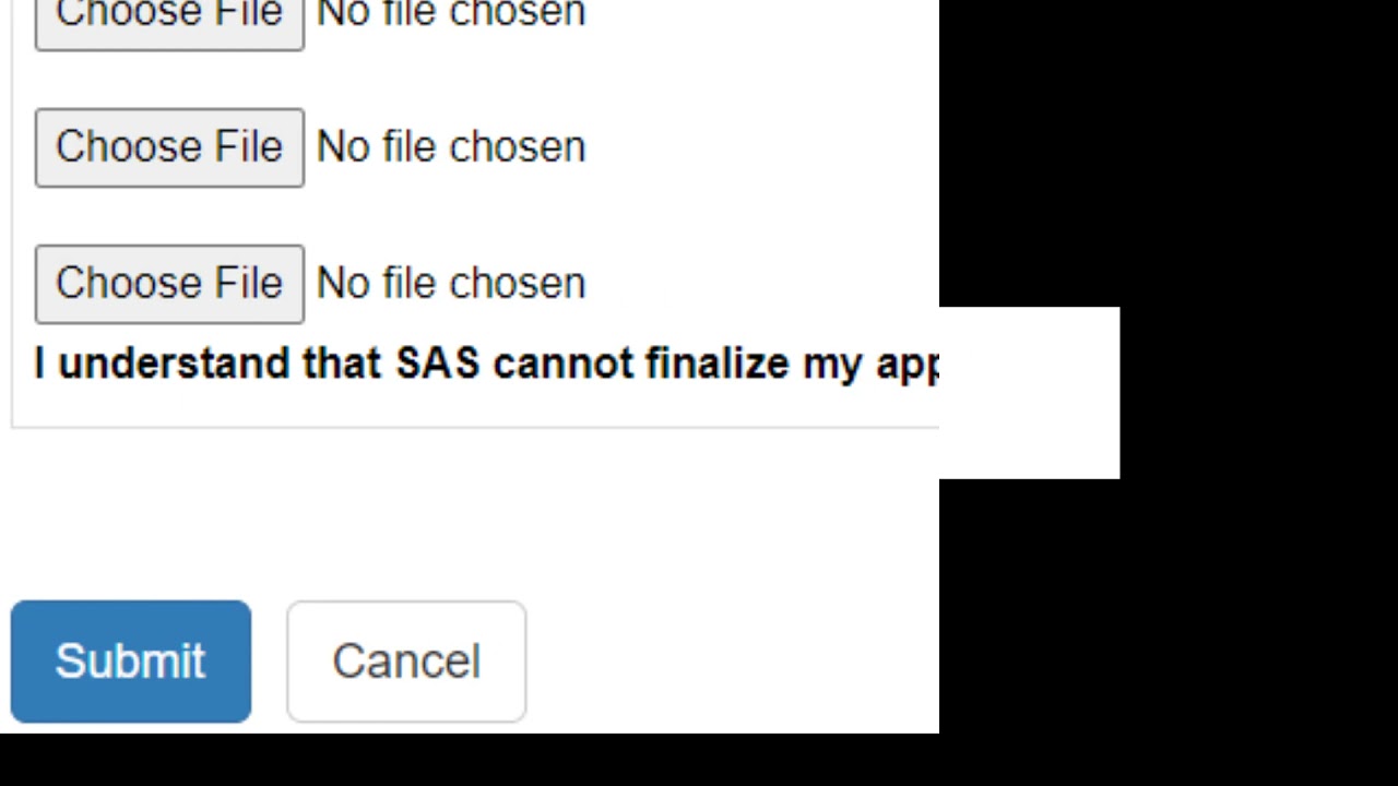 USF SAS - Application for Accommodations and Services