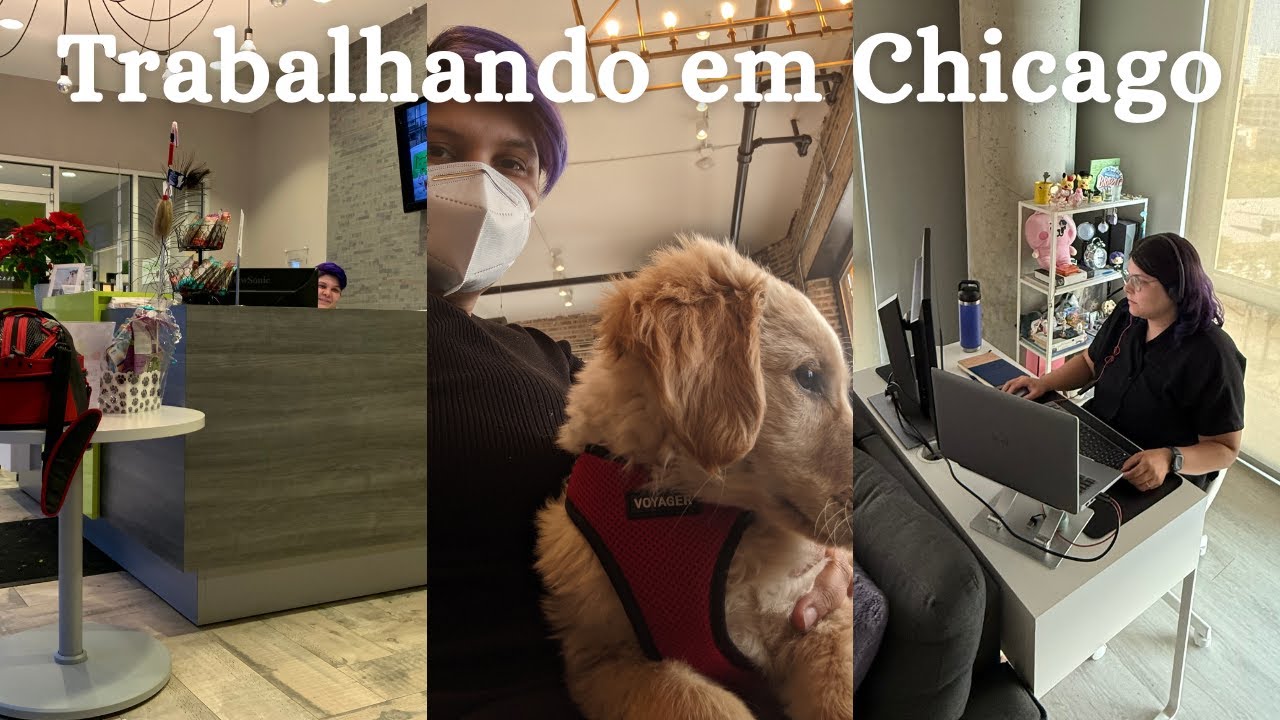 Como é Trabalhar nos Estados Unidos? Minha Experiência Comparada ao Brasil