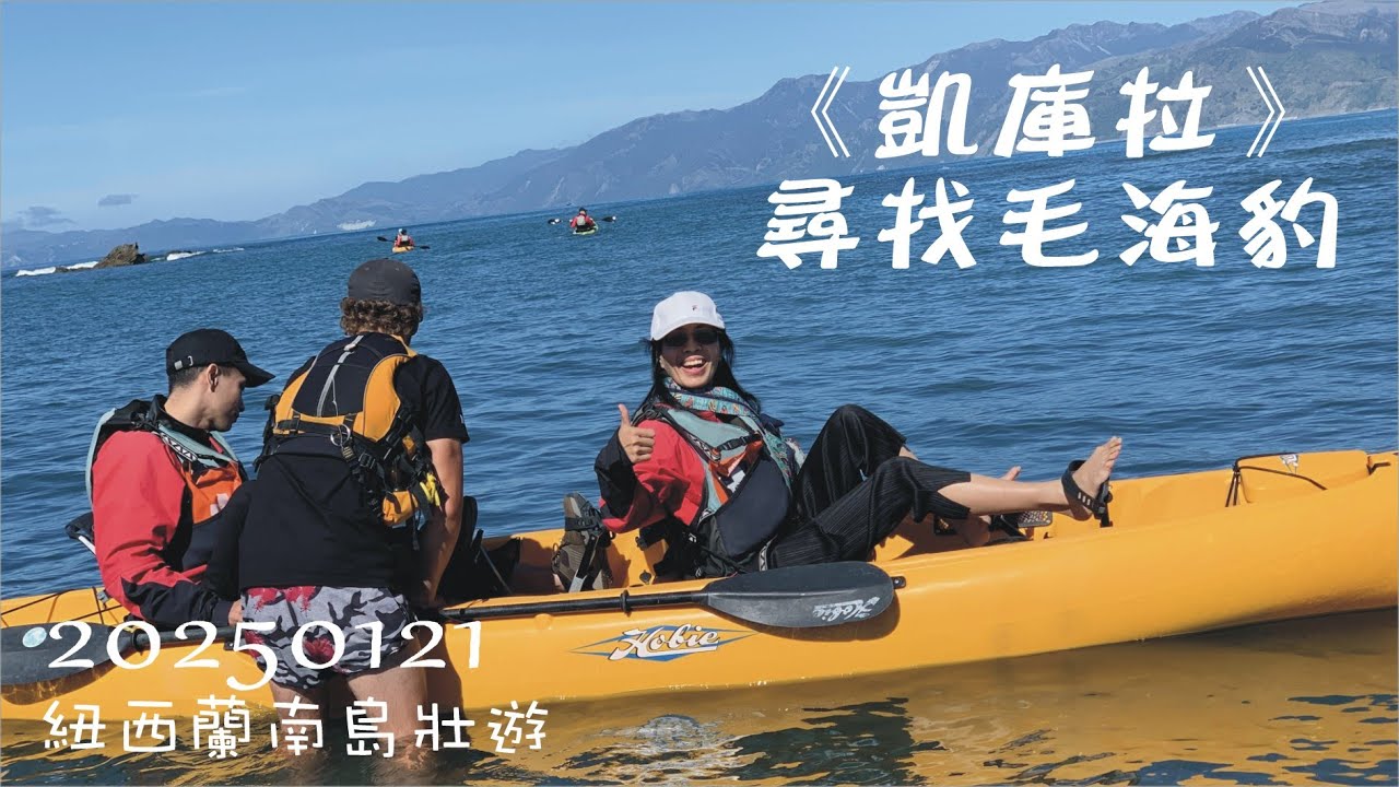 20250125 NZ凱庫拉 Kayaking & 看毛海豹