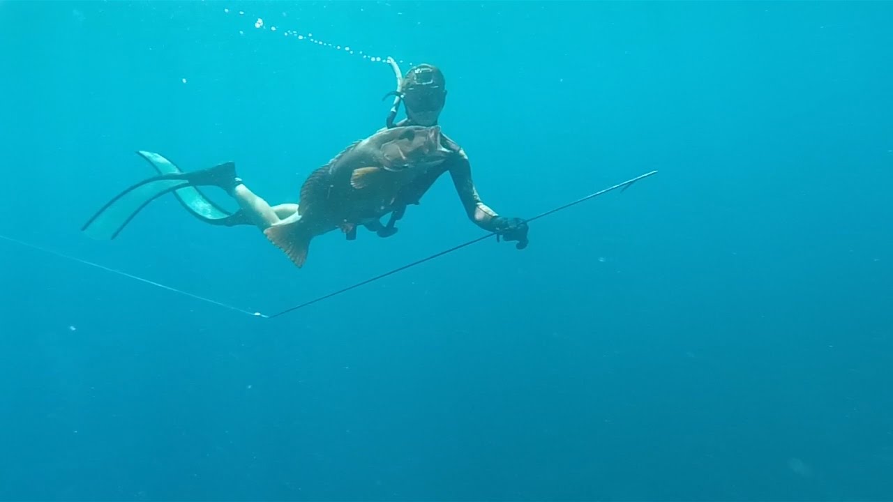Spearfishing West Oz Life : Part 2