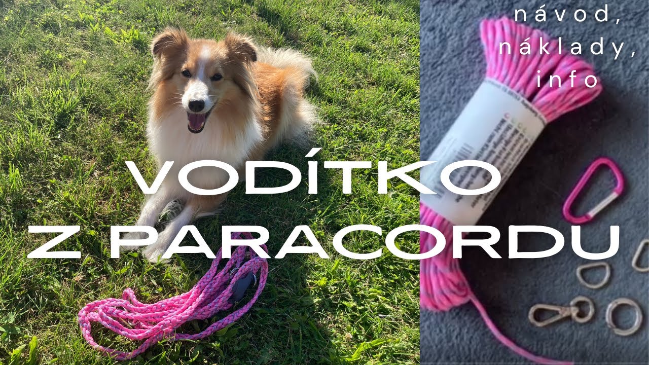 DIY Dog Leash: návod na výrobu vodítka z paracordu