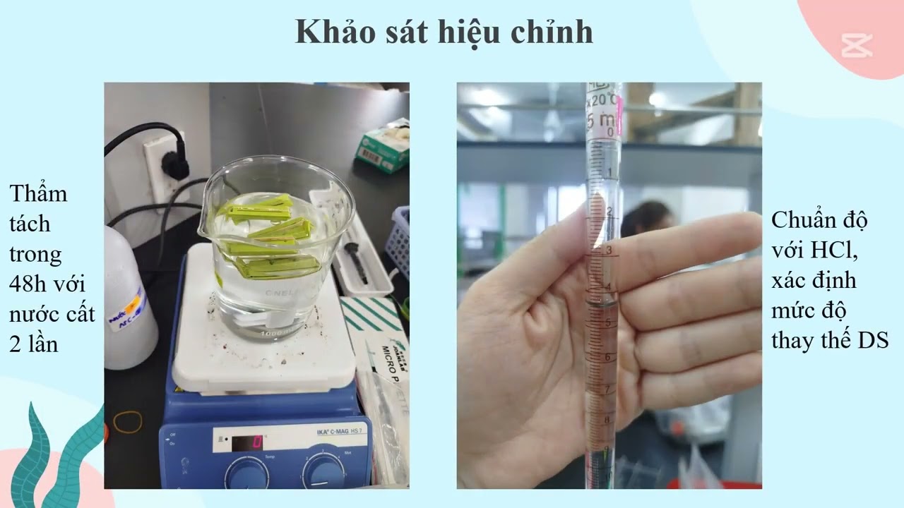 FST -071 -NC hiệu chỉnh polysaccharide từ rong Ceratophyllum submersum bằng PP carboxymethyl hóa