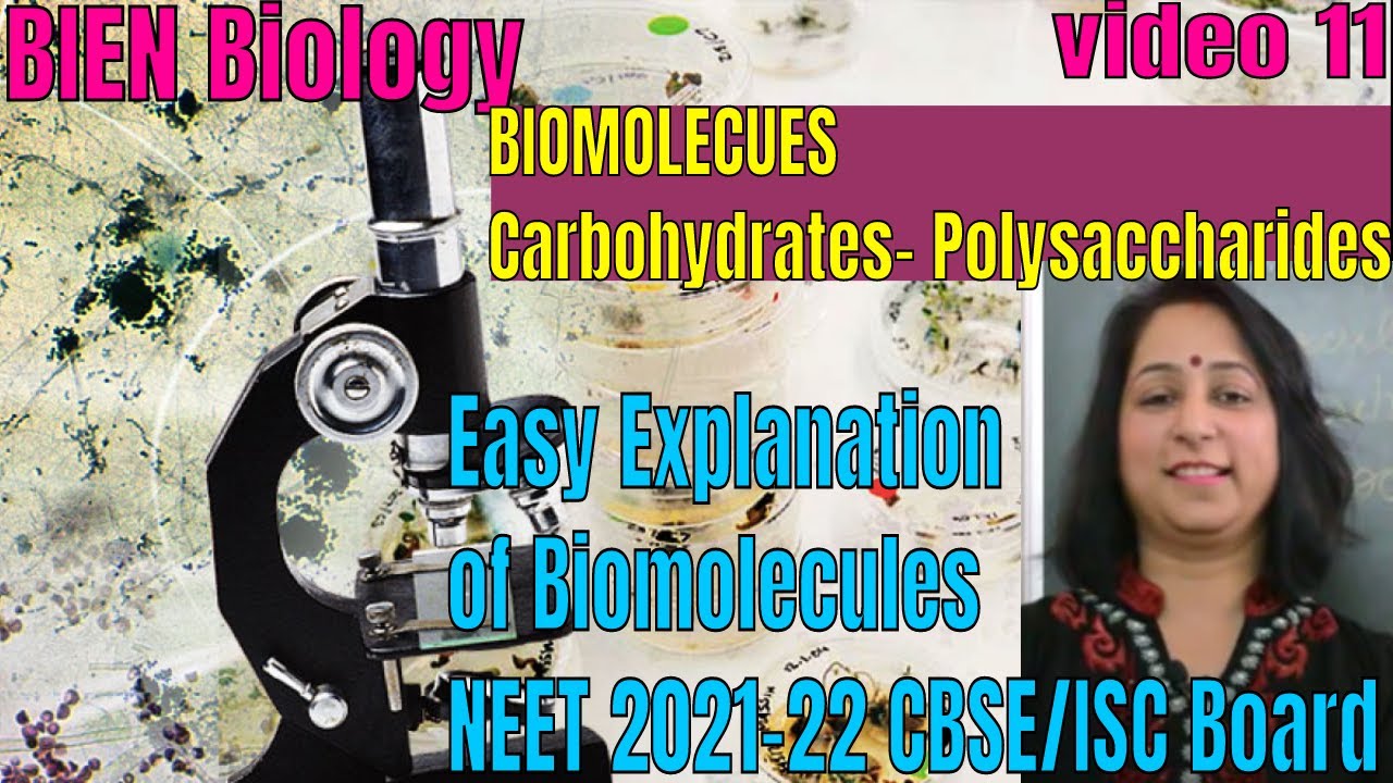 BIOMOLECULES Made easy |Carbohydrates | Polysaccharides | NEET 2021-22 | XI CBSE/ISC | By BIEN