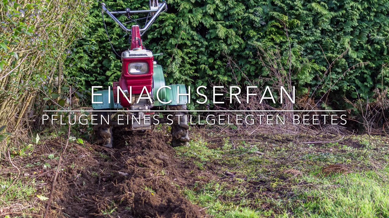 Stillgelegter Garten mit dem Einachser Honda F800 Pflügen