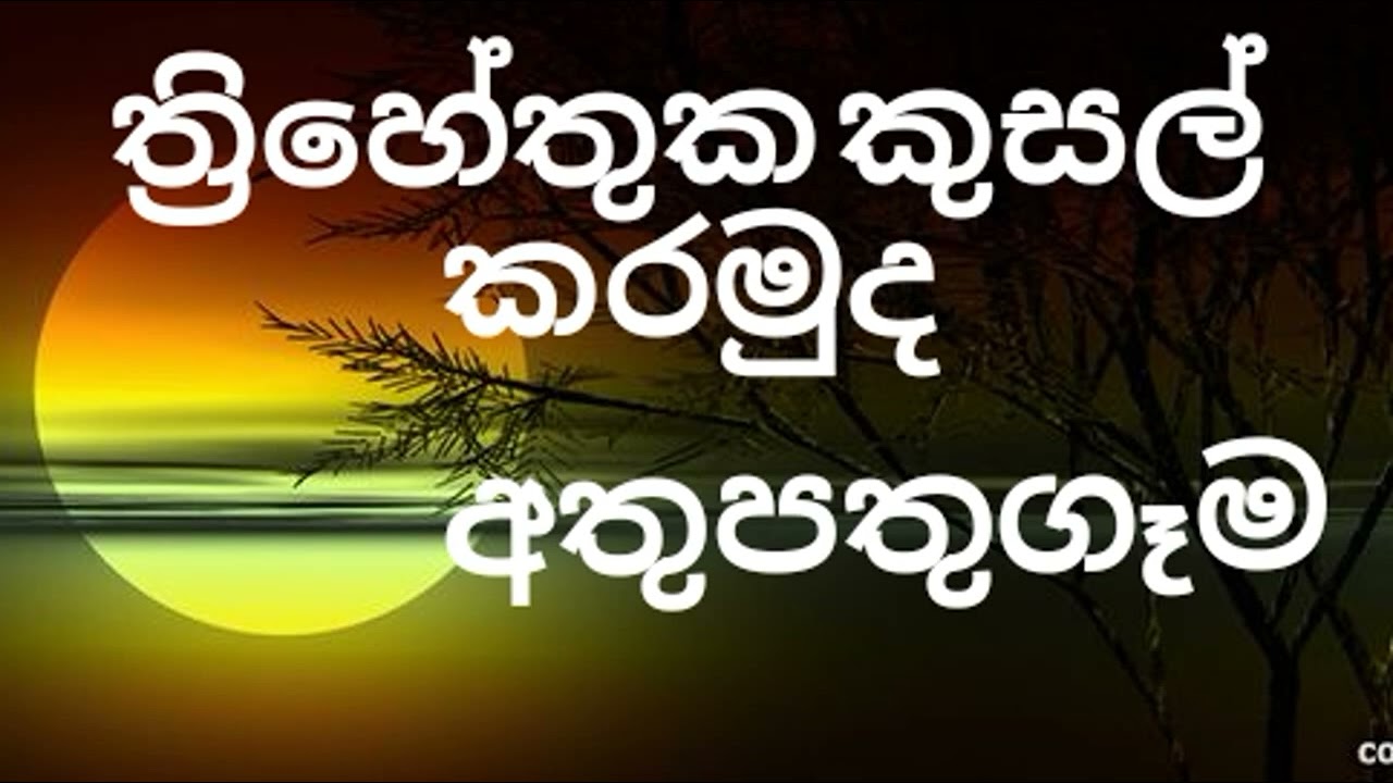 ත්‍රිහේතුක කුසල්.
