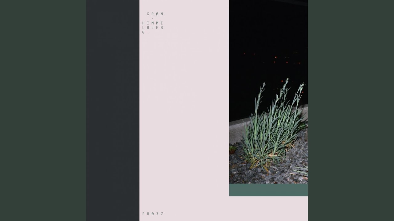 Dagslys │ Dykker
