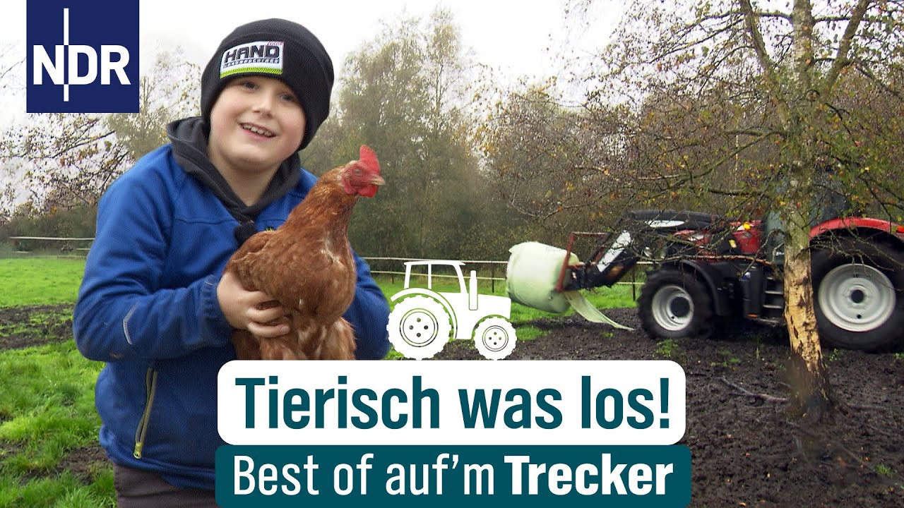 Eine Kuh macht Muh, viele Kühe machen Mühe | Best of Auf'm Trecker Fo. 8 | NDR