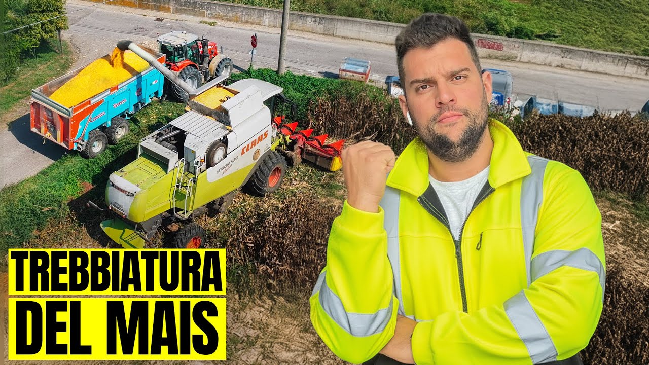 TREBBIAMO CON LA LEXION 🔥 | continuano le trebbiature del mais 🌽