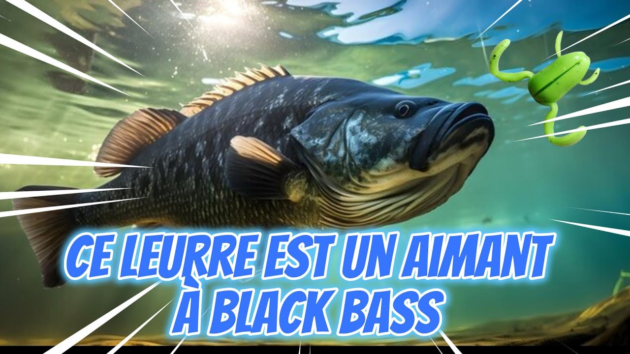 Ce leurre est un aimant à black bass