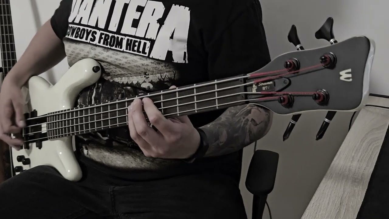 Down - Lifer [Bass Cover]