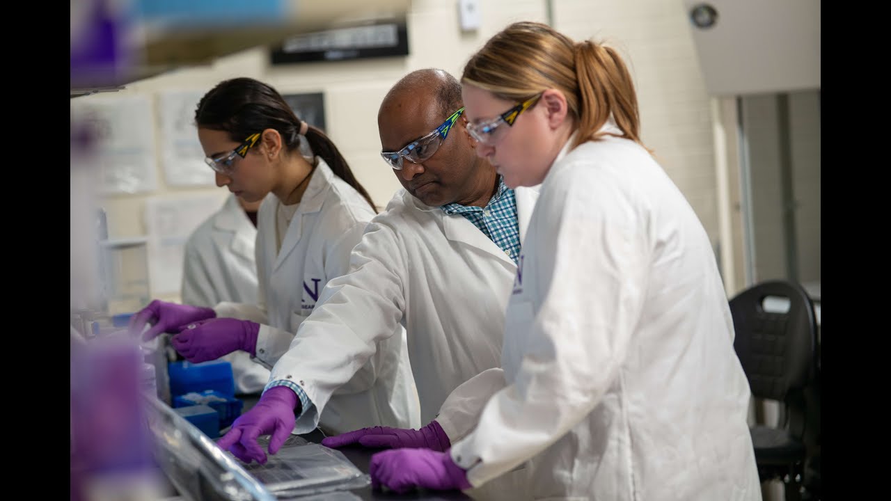 Northwestern Engineering's Master of Biotechnology Program