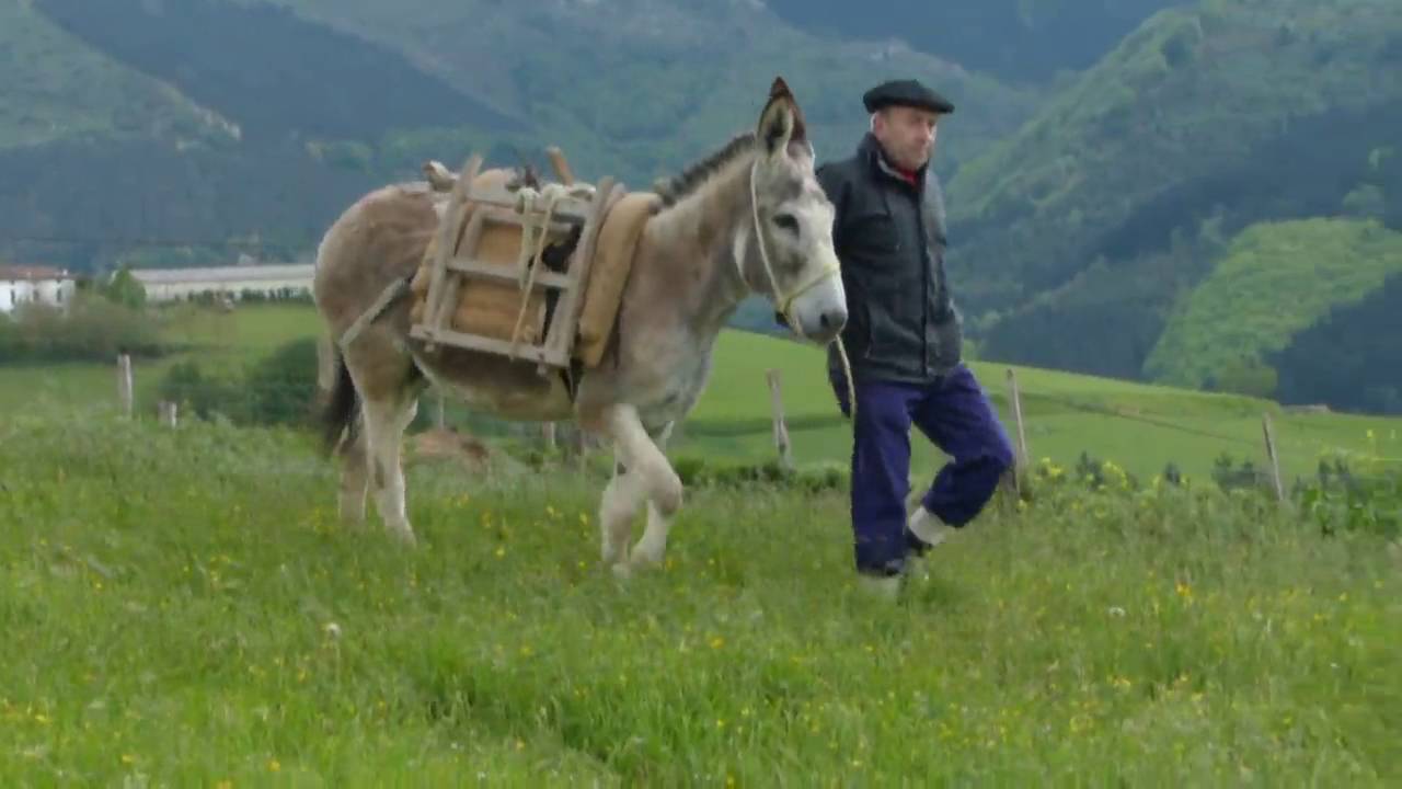 'Astoa ikusi nuen' (Zaldibia, 2016-05-07) (6'47)