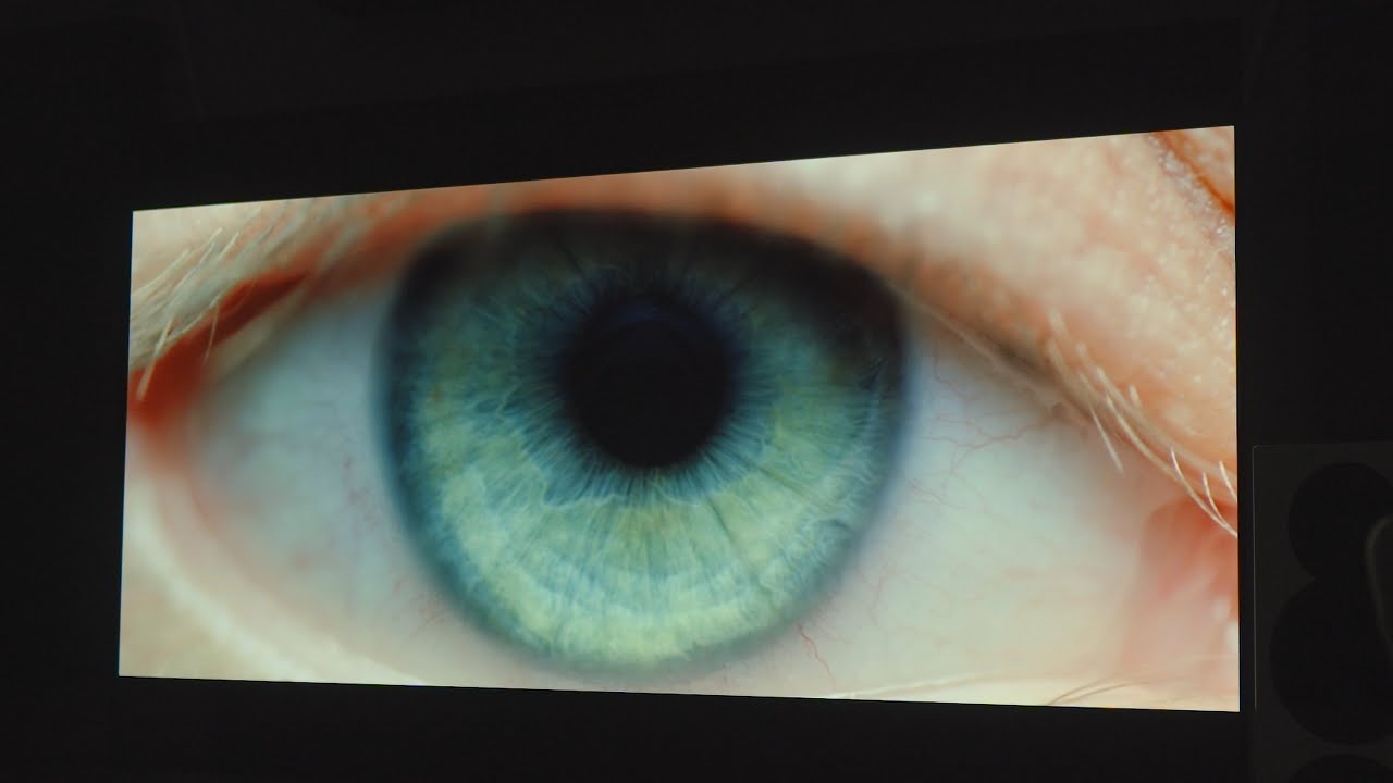 LG OLED C3 Evo 83
