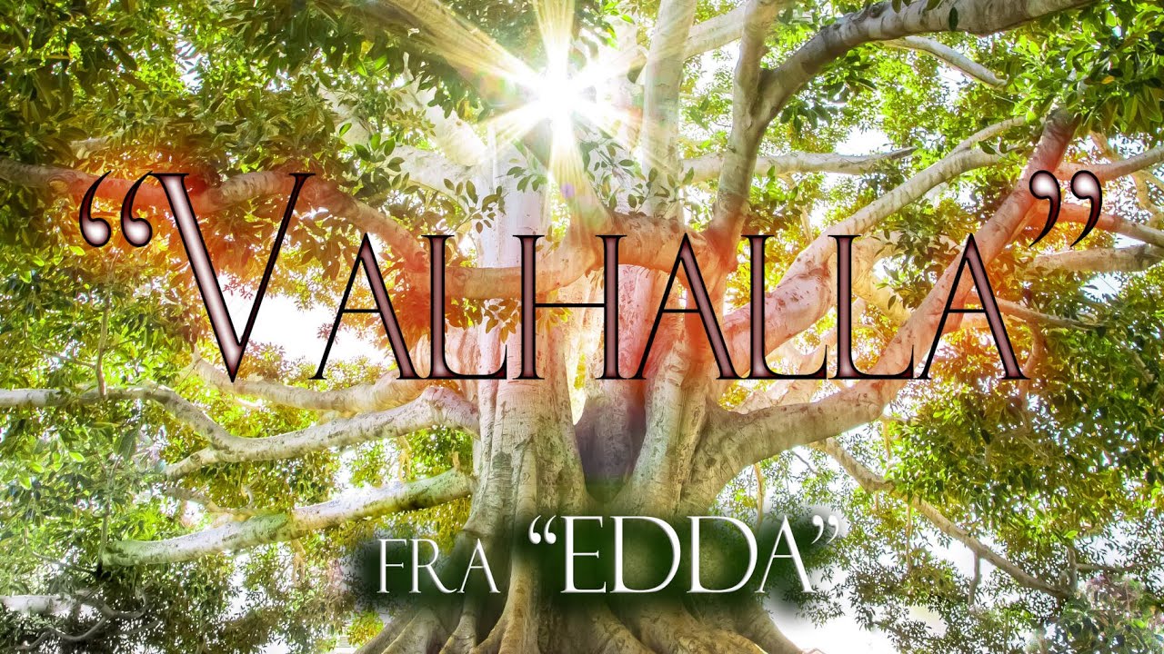 EDDA - 8. 