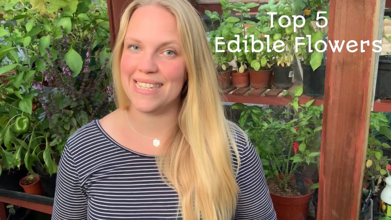 Top 5 Edible Flowers | Sow Much More