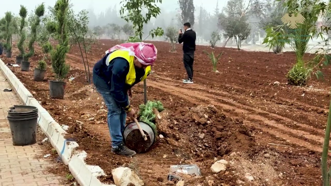 أكثر من 20 ألف غرسة لتجميل مدخل مدينة حلب الغربي ( دوار الموت )
