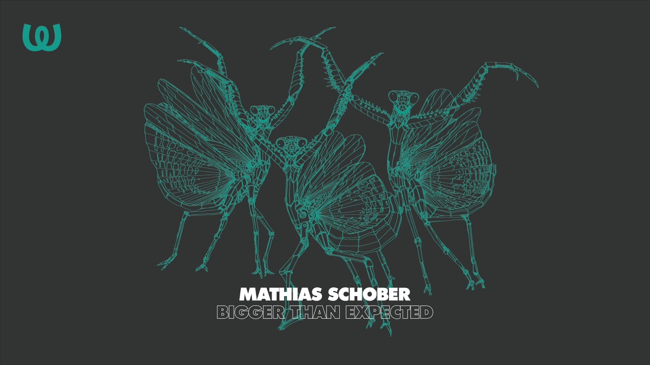 Mathias Schober - Bigger Than Expected