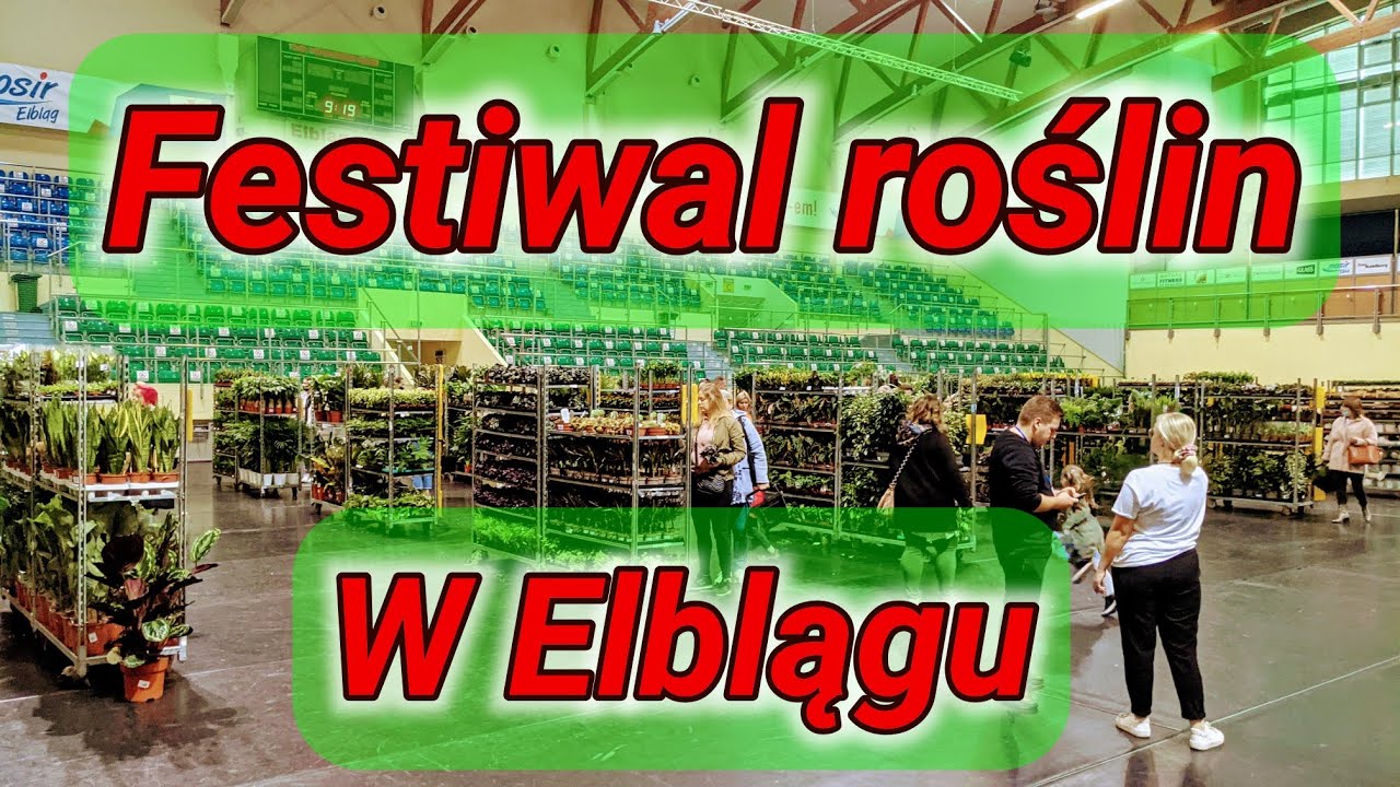 Festiwal Roślin - wielka wyprzedaż roślin doniczkowych w Elblągu .   Hala Sportowo-Widowiskowa.
