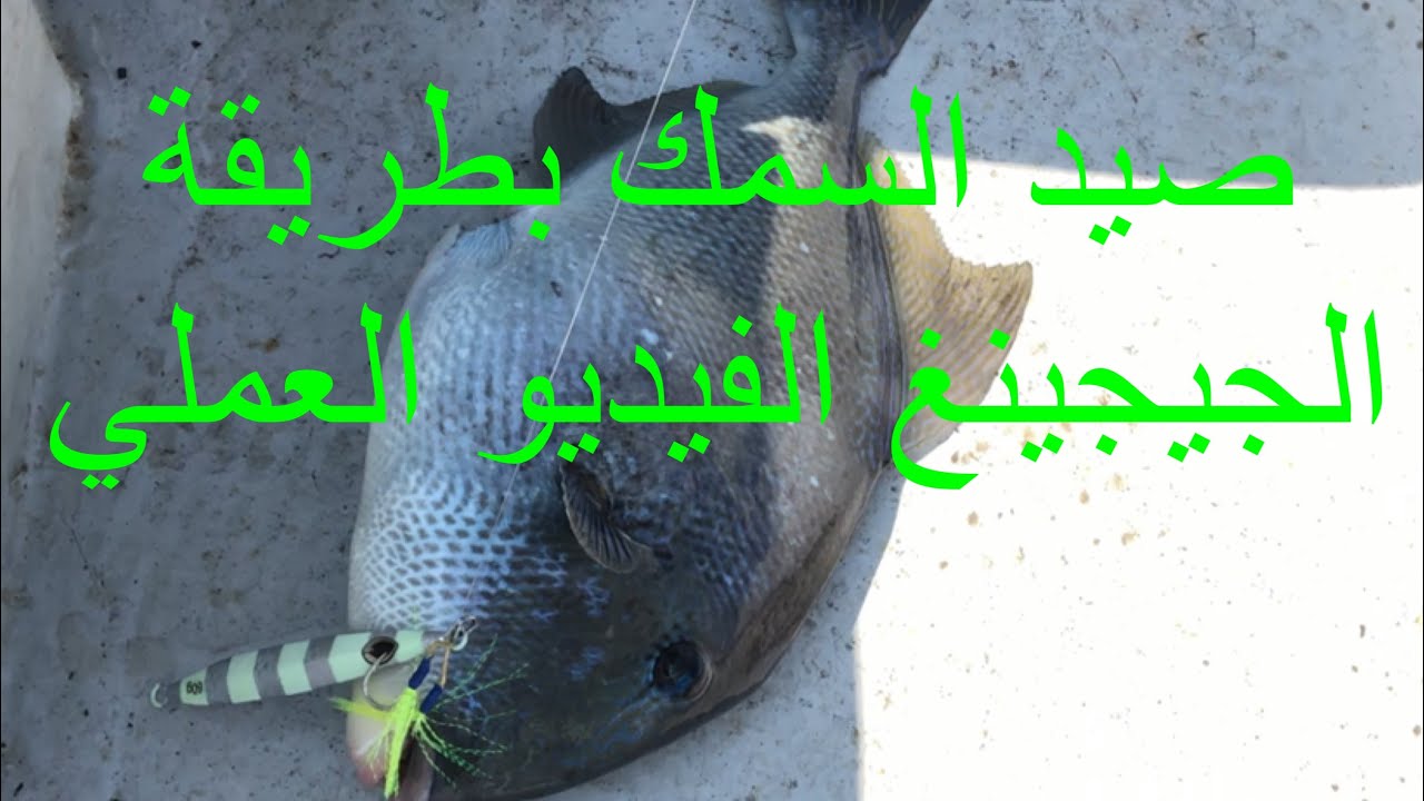 صيد السمك بطريقة الجيجينغ Jigging Tutorial