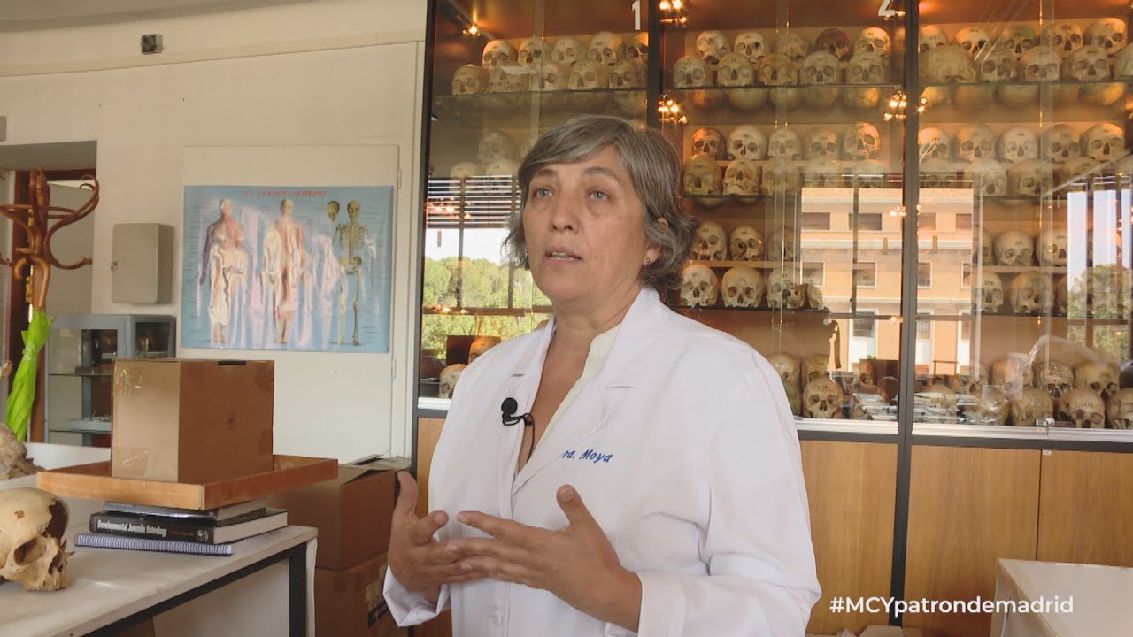 Un análisis del cuerpo de San Isidro resuelve muchas incógnitas
