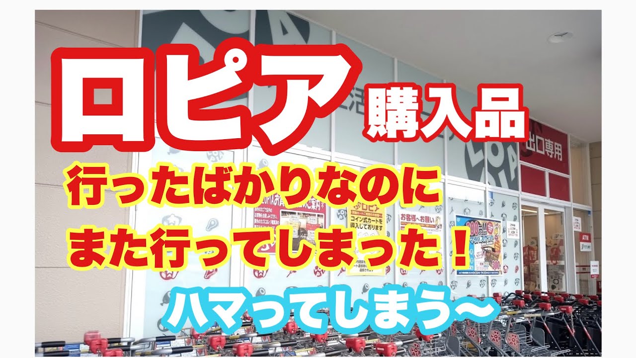 また行ってしまった大好きロピアでの購入品