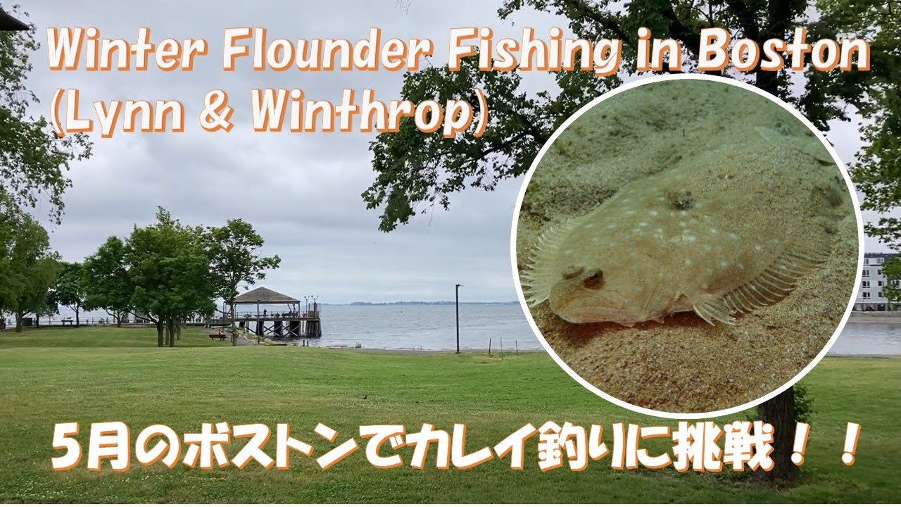 Зимняя рыбалка на камбалу в Бостоне | Линн и Уинтроп