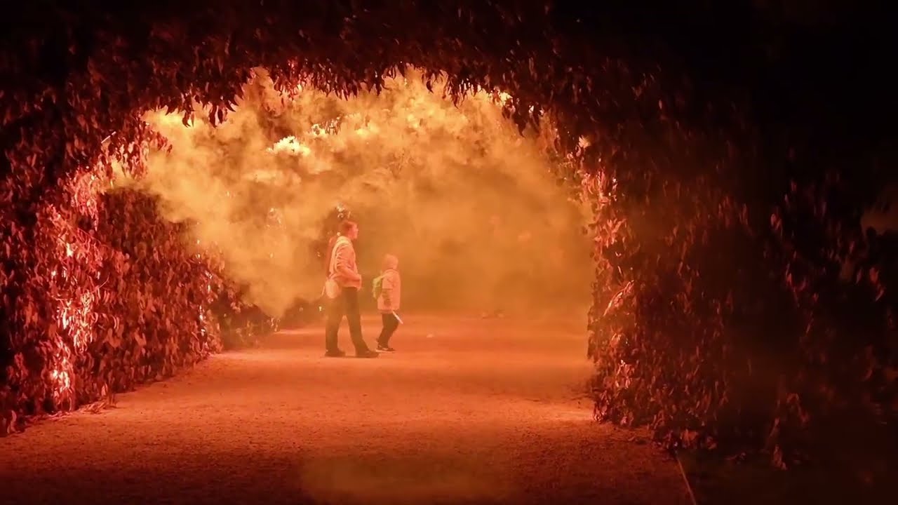A glance of Illuminate Adelaide.