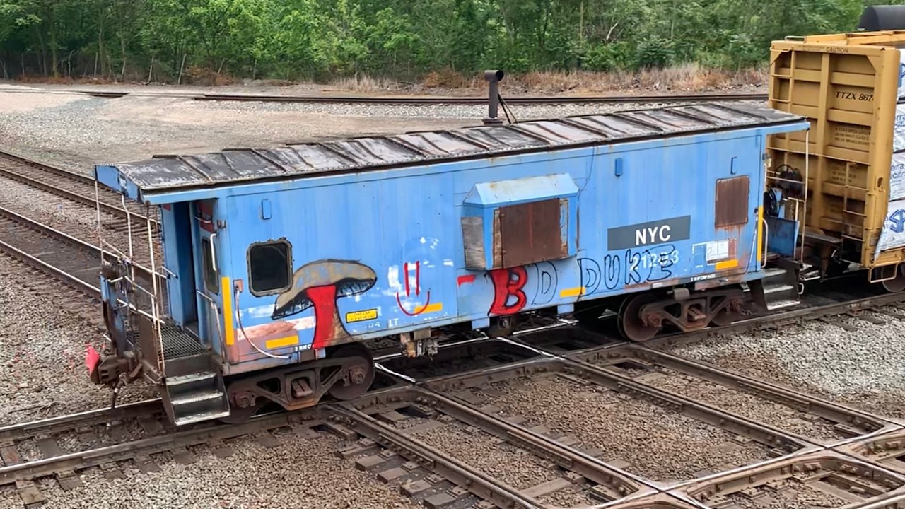 Trains Slamming RR Diamonds Hard!  Caboose On End Of Train & Fast Norfolk Southern Trains With DPUs