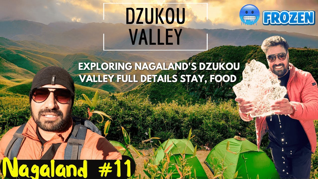 Dzukou Valley Trekking Full Details | How to Reach, Stay & Tips | 🥶Frozen River Solo Journey 4K