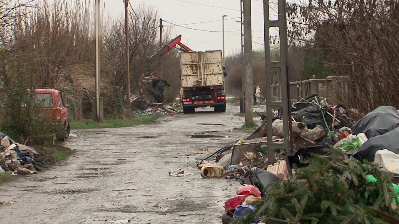 Szegedi Hírek Megtisztult a cserepes sori romatelep 2016.03.07.